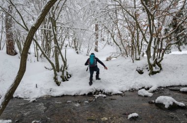 Fotoğrafçı kış ormanda yürüyor. Her yerde karla kaplı.