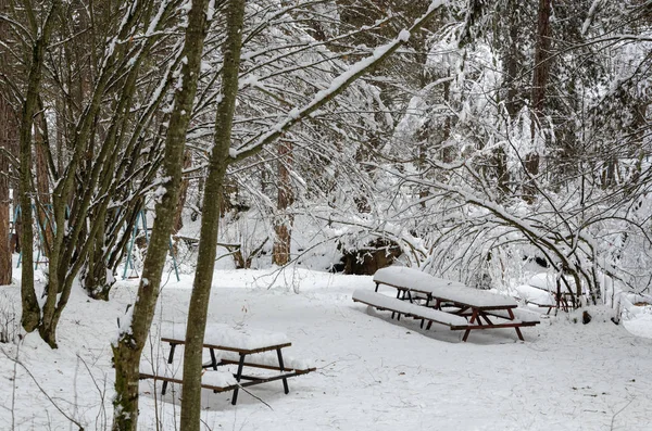 Wonderful Winter Landscape Amazing Winter View Snow Covered Bench Snowy — Stock Photo, Image