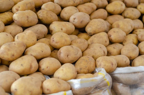 Fresh raw potato. Potatoes on market