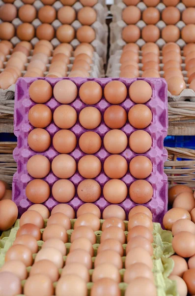 Raw brown eggs in carton egg boxes