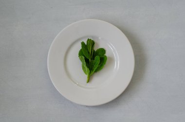 Yeşil nane beyaz bir plaka üzerinde izole yaprakları.