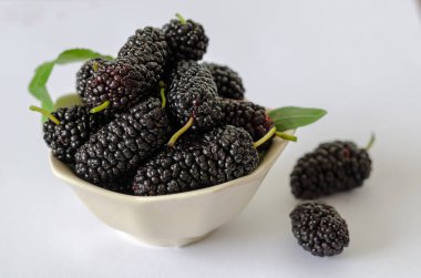 Beyaz arka plan üzerinde izole yaprak dut 