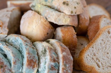 Ekmek israfı ve Küflü ekmek dilimleri