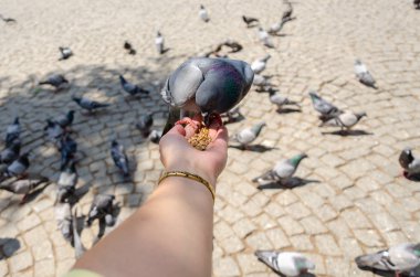 Womant parkta güvercinbesliyor.. 