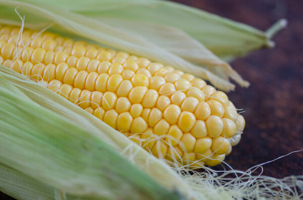 Raw yellow corns on a wooden table