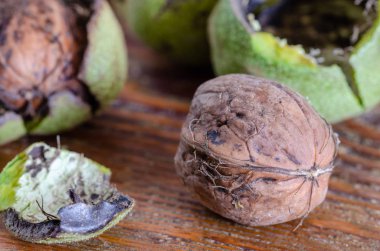 Yeşil kabuklu ceviz taze hasat.