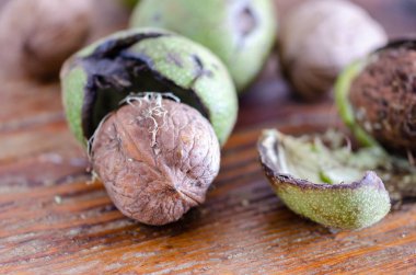 Yeşil kabuklu ceviz taze hasat.