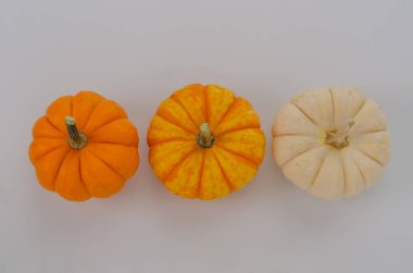 Beyaz arka planda taze turuncu kabaklar