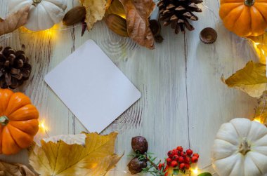 Balkabaklarıyla, kozalaklarıyla, yapraklarıyla ve ışığıyla sonbahar durgun