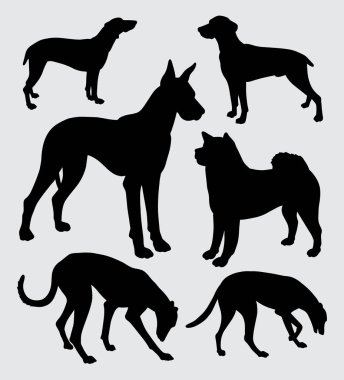 Bir tür köpek, evde beslenen hayvan hayvan siluet 