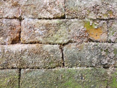 Duvar doku arka plan fotoğraf iyi kullanmak istediğiniz herhangi bir tasarım için