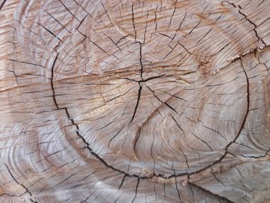 Ahşap doku arka plan iyi kullanmak istediğiniz herhangi bir tasarım için