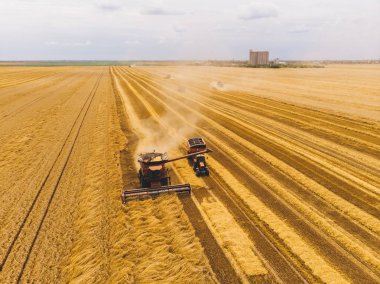 Tarlada çalışan hasat makinesi. Buğday tarlasını hasat eden ekin biçme makinesini birleştirin. Tarım. Hava görüntüsü. Yukarıdan.