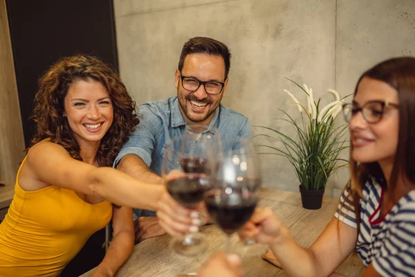 Salud Grupo Amigos Divirtiéndose Bebiendo Vino Aplausos — Foto de Stock