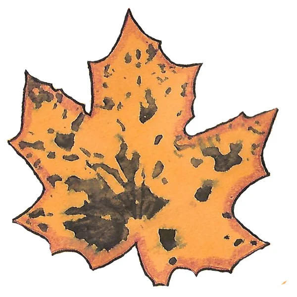 Autumn leave. prints of maple leaves. dirty blots — Stock Photo, Image