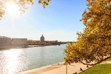 Arka planda Muse de l 'Histoire de la Mdecine (Tarih Müzesi) ile güzel Garonne