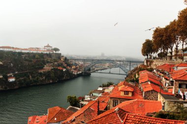 Porto 'da sisli bir sabah: Tipik kırmızı çatılar üzerinde uçan kuşlar ve Douro Nehri' ni geçen ünlü Dom Lus I Köprüsü (Ponte de Dom Lus I)