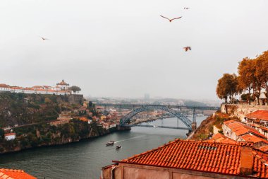 Porto 'da sisli bir sabah: Tipik kırmızı çatılar üzerinde uçan kuşlar ve Douro Nehri' ni geçen ünlü Dom Lus I Köprüsü (Ponte de Dom Lus I)