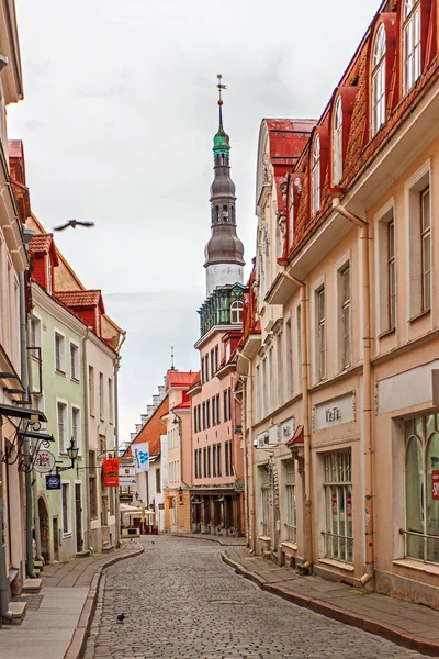 Tallinn Estonia Calles Coloridas Estrechas Del Casco Antiguo Tallin Temprano — Foto de Stock