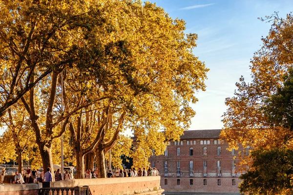 Toulouse Francia Bella Garonna Con Muse Histoire Mdecine Sullo Sfondo — Foto Stock