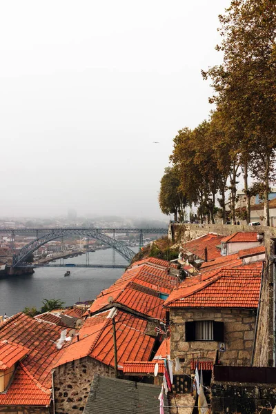 Porto Portugal Manhã Nebulosa Porto Pássaros Sobrevoar Tetos Típicos Vermelhos — Fotografia de Stock