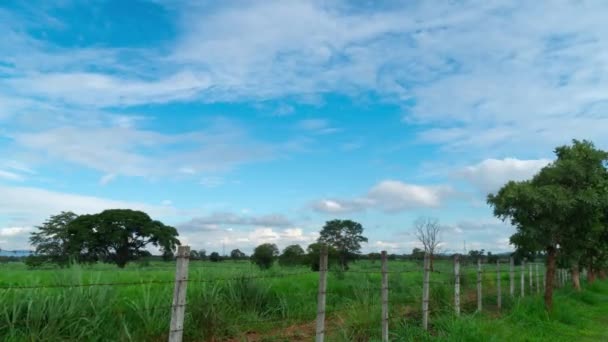 Tempo Lapso Campo Grama Belo Céu Azul Brilhante Com Movimento — Vídeo de Stock