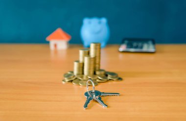 Para fikirler evleri, finansal ve mali fikirler, Sav için tasarruf