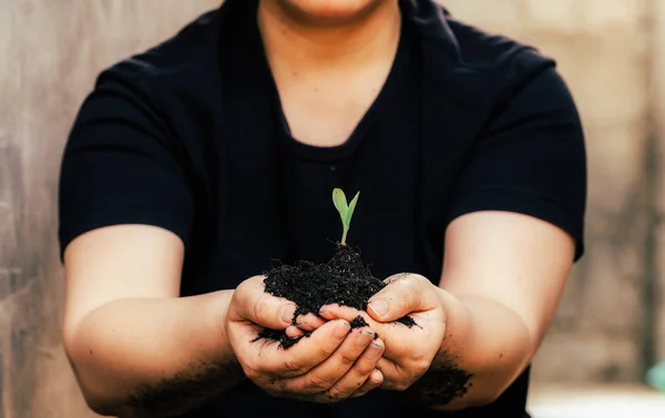 Gli adulti tengono piccoli alberi. Giornata della Terra è ecologico . — Foto Stock