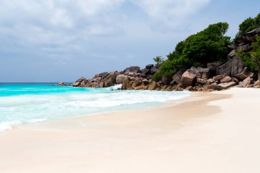 Beyaz kum plaj Seychelles Adaları 