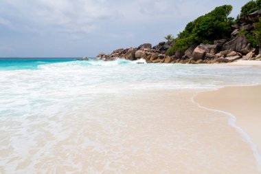 Beyaz kum plaj Seychelles Adaları 