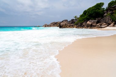 Beyaz kum plaj Seychelles Adaları 