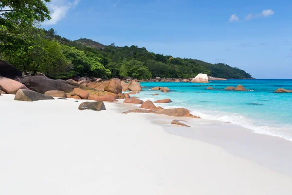 Seyşel Adaları mavi su ve taş ile plaj