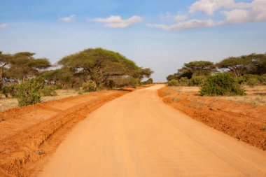 Bir sürü ağaç ve yeşil bitkilerle dolu ovalarda kırmızı toprakla kaplı bir yol.