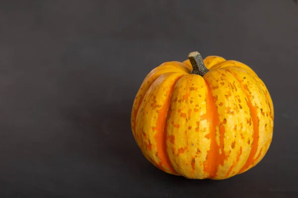 Naranja Calabaza Amarilla Encuentra Sobre Fondo Negro —  Fotos de Stock