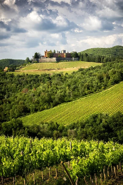 Brolio Kale Yakın Bağlar Kalenin Ünlü Chianti Classico Şarap Üretim — Stok fotoğraf