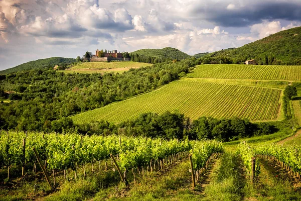 Brolio Kale Yakın Bağlar Kalenin Ünlü Chianti Classico Şarap Üretim — Stok fotoğraf