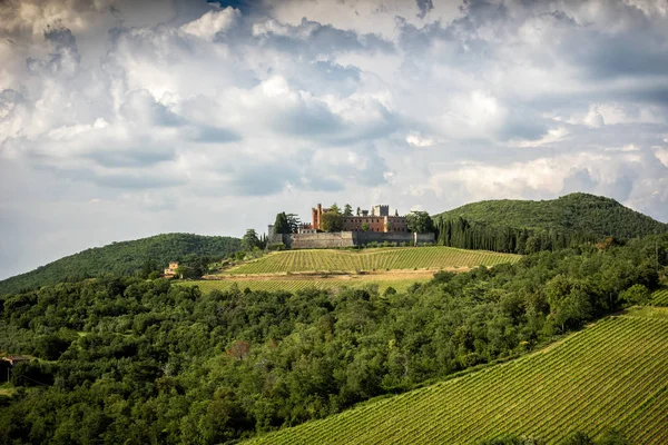 Castello Brolio Vicine Vigne Castello Trova Nella Zona Produzione Del — Foto Stock