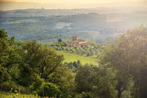 Vingårdar Chianti Med Siena Skyline Bakgrunden Toscana Italien — Stockfoto