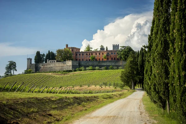 Brolio Kasteel Nabijgelegen Wijngaarden Het Kasteel Gelegen Het Productiegebied Van — Stockfoto