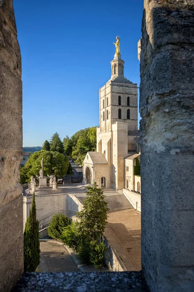 Avignon Palais Des Papes Popes Palace Avignon Beautiful Summer Day — Stock Photo, Image