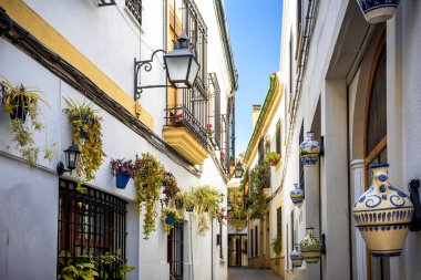 Cordoba: eski tipik sokakta bitki ve çiçekler ile Juderia. Andalucia, İspanya.