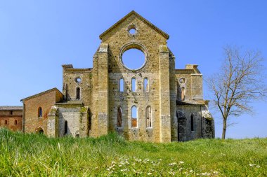 Antik Abbey, San Galgano, Toskana bölgesindeki Romanesk mimarinin mirable bir örnektir. Chiusdino, Siena, İtalya.