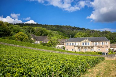 Volnay - Bordo - Fransa-Temmuz 23, 2017: Domaine de la Pousse d'Or, kimin amblemi köyün Clos Audignac yukarıda parçası süslüyordu, bir tarihe sahiptir güzel evim.