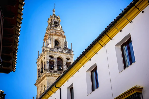 Cordoba Den Stora Moskén Eller Mezquita Berömda Interiören Cordoba Spanien — Stockfoto