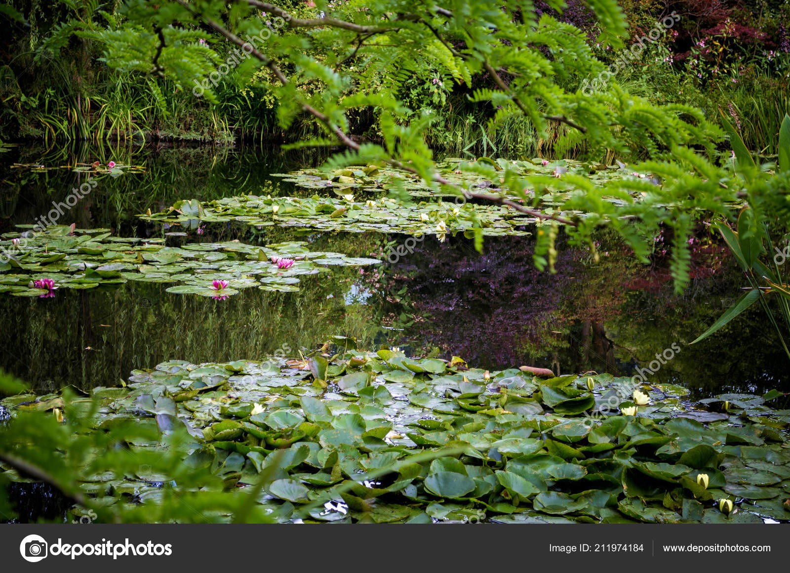 Monet Gardens House Giverny Paris France Stock Photo