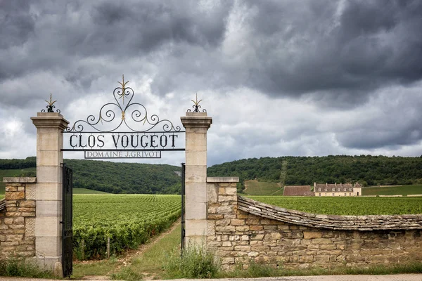 Бургундия Chateau Clos Vougeot Виноградники Франция — стоковое фото