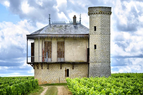 Bourgogne Många Chateau Slott Omgiven Många Hektar Vingårdar Och Stora — Stockfoto