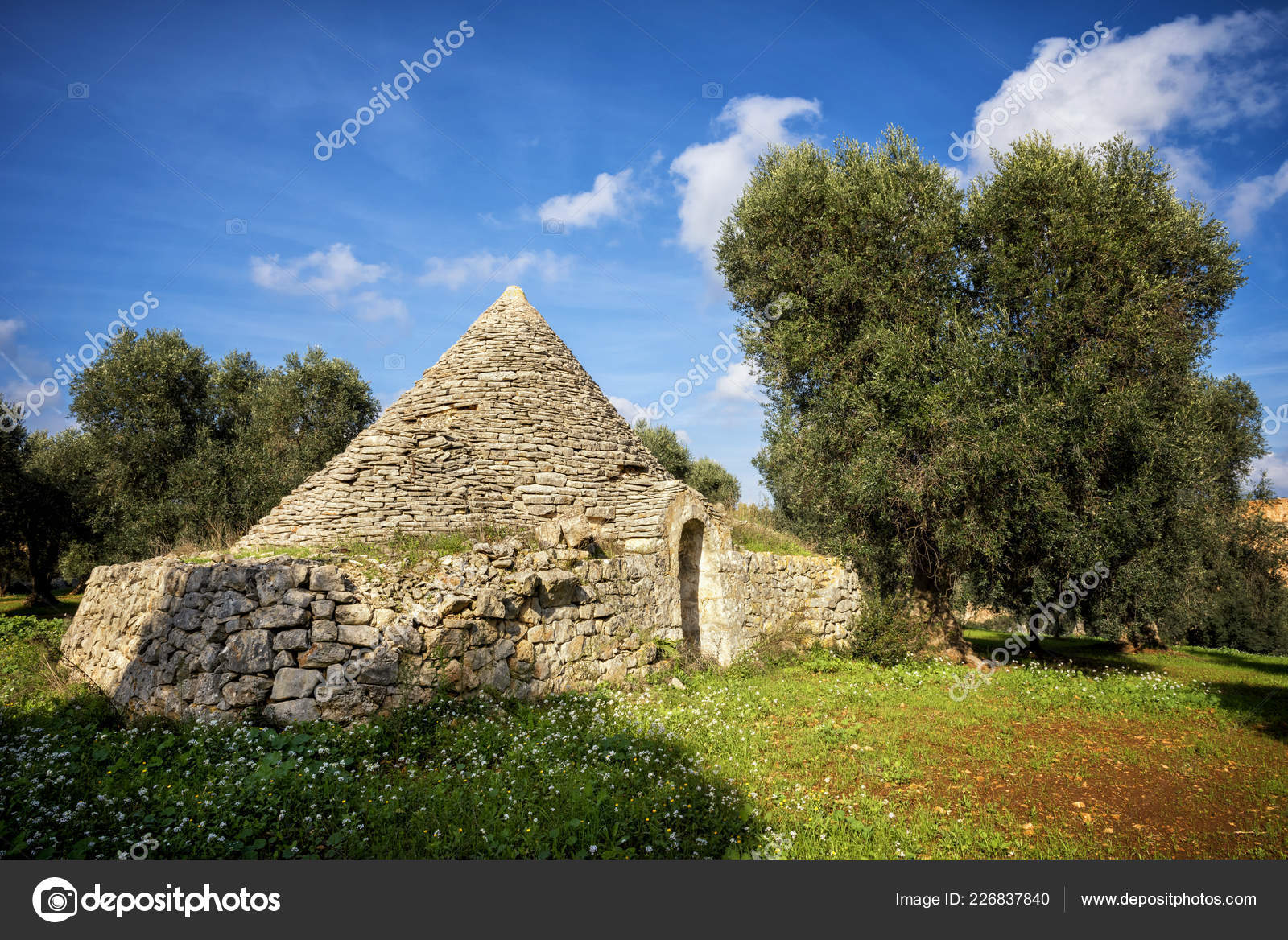 depositphotos_226837840-stock-photo-trulli-olive-grove-val-itria.jpg