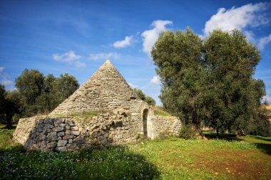 Zeytin bahçeli Trulli. Val d 'Itria - Puglia (Apulia) - İtalya