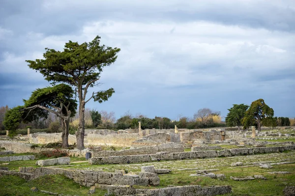 Paestum Αρχαία Ερείπια Της Απομεινάρια Θρησκευτικών Κτιρίων Της Αρχαίας Ελληνικής — Φωτογραφία Αρχείου